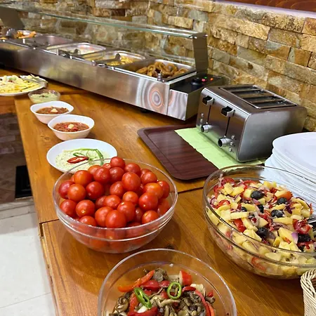 Hotel Sura Getilor Arinis Voronet