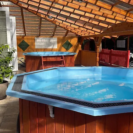 Sura Getilor Arinis Hotel 3*