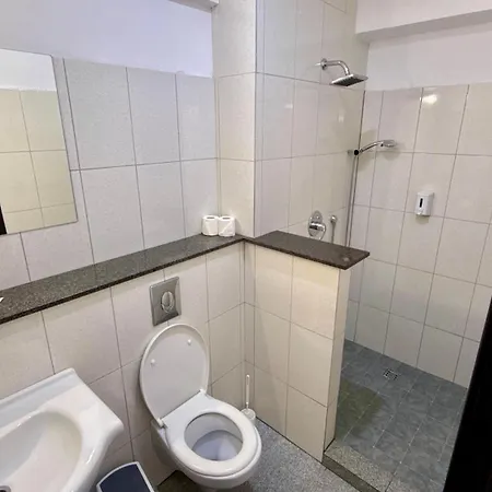 Sura Getilor Arinis 3* Voronet